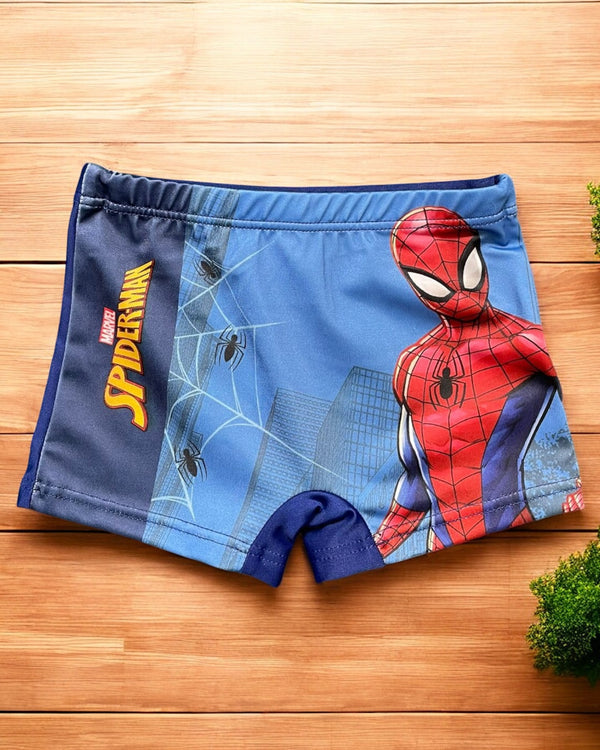 Costume Box Spider Man - SPI24-1053